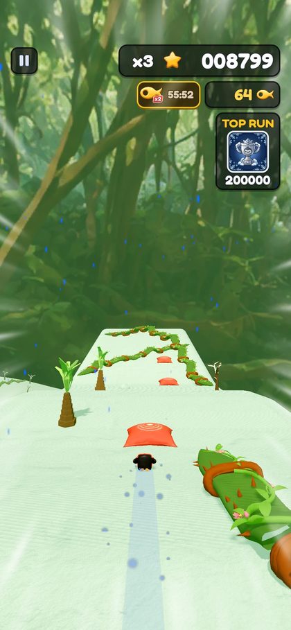 A slope winding through a jungle
